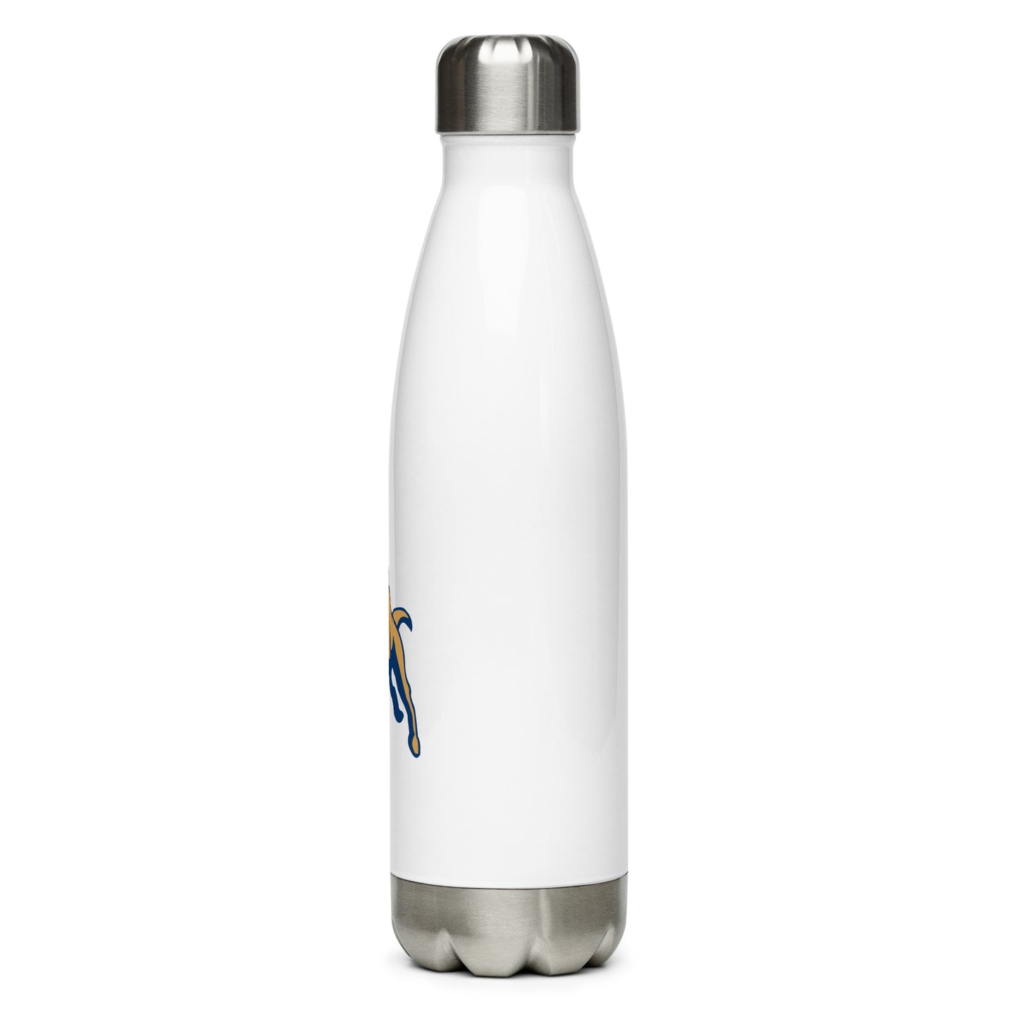 Soccer Sports Stainless Steel Water Bottle