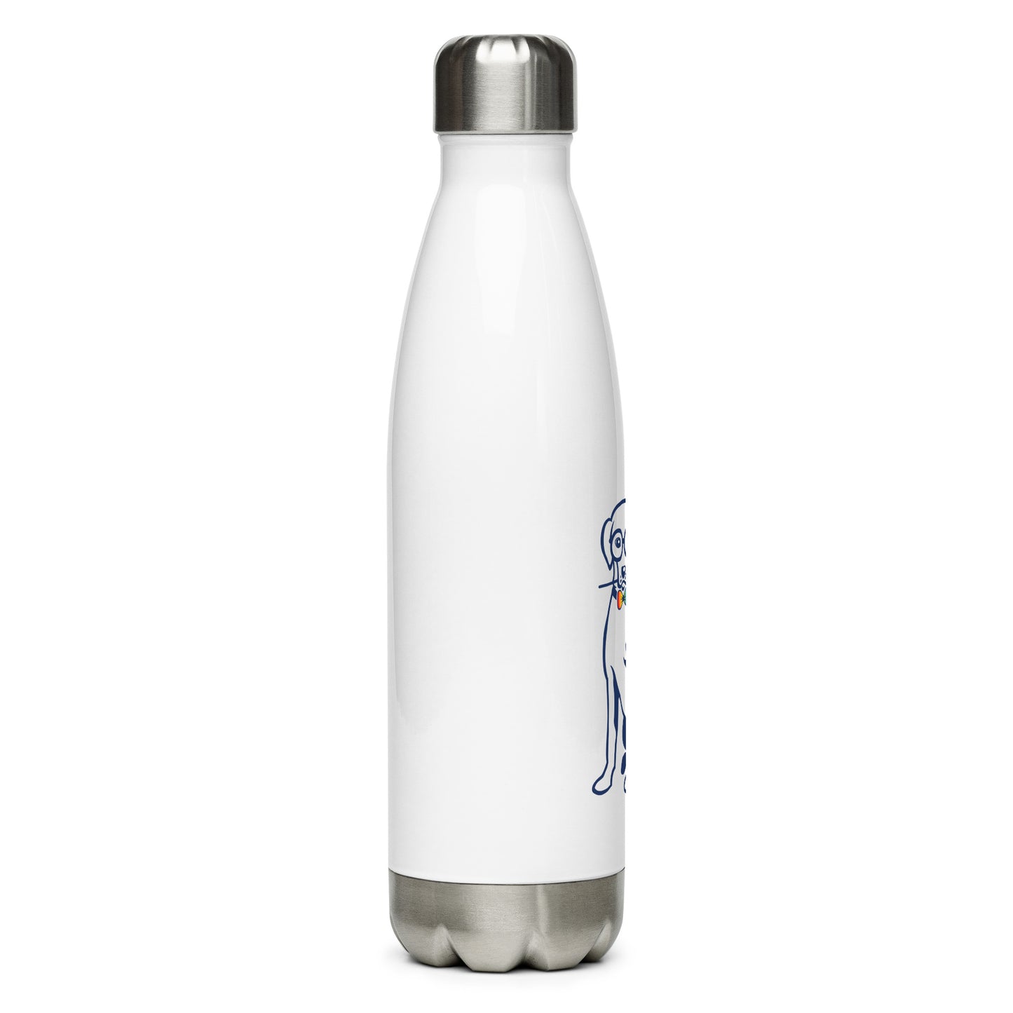 Pride Flag Stainless Steel Water Bottle